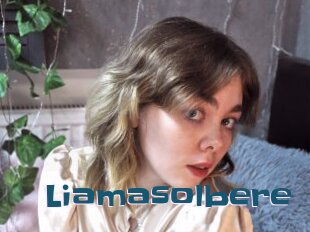 Liamasolbere