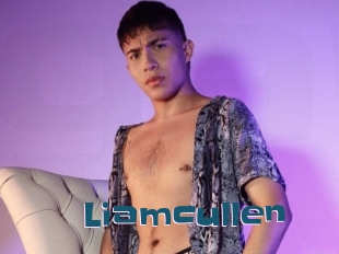 Liamcullen