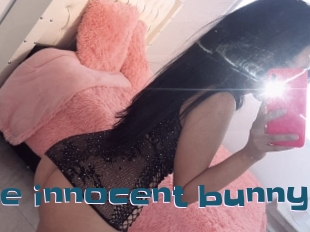 Little_innocent_bunny