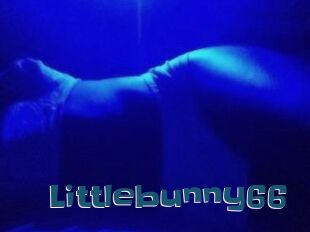 Littlebunny66