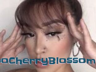 MaraschinoCherryBlossom