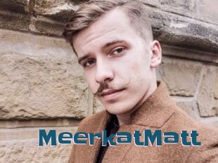 MeerkatMatt