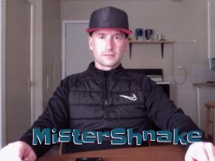 MisterShnake