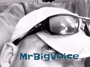 MrBigVoice