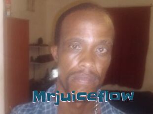 Mrjuiceflow