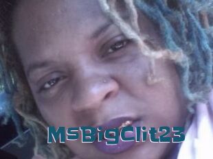 MsBigClit23