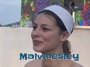 Malvinesley