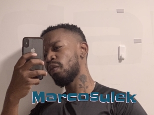Marcosulek