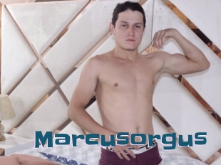 Marcusorgus