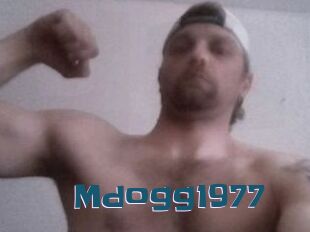 Mdogg1977