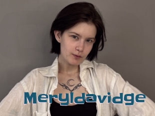 Meryldavidge
