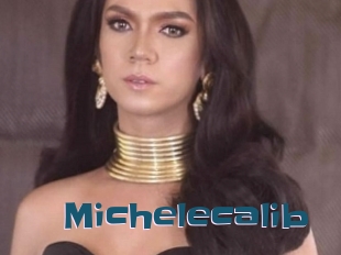 Michelecalib