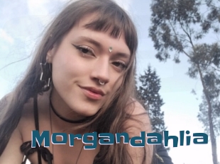 Morgandahlia