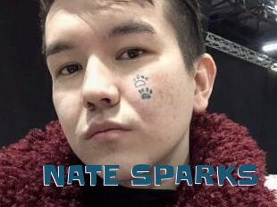 NATE_SPARKS