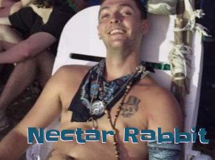 Nectar_Rabbit