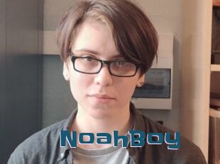 NoahBoy