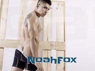 NoahFox