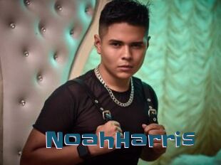 NoahHarris