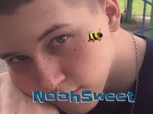 NoahSweet