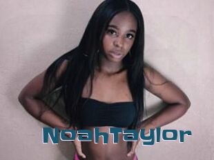 NoahTaylor