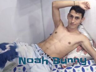Noah_Bunny