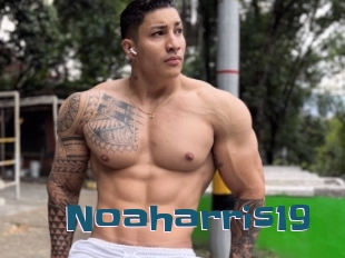 Noaharris19