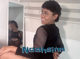 Noahsinn