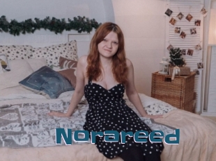 Norareed