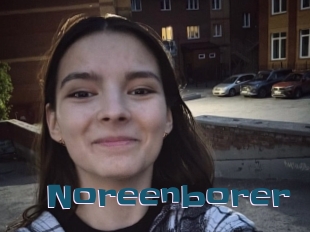 Noreenborer