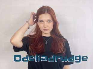 Odeliadrudge