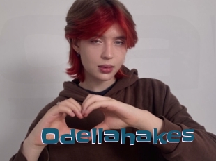 Odellahakes