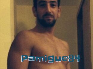 Pamigue84