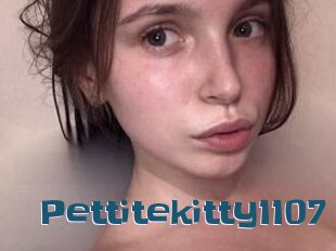 Pettitekitty1107