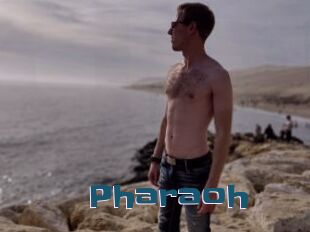 Pharaoh