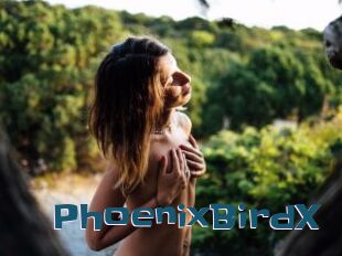 PhoenixBirdX