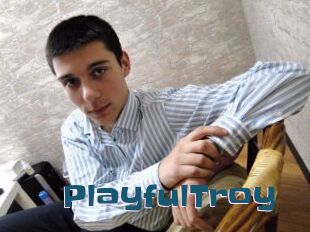 PlayfulTroy