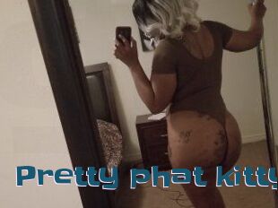 Pretty_phat_kitty