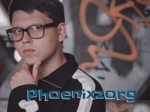 Phoenixzorg
