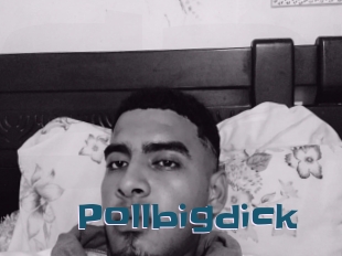 Pollbigdick