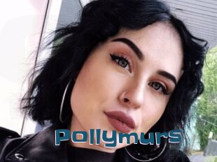Pollymurs