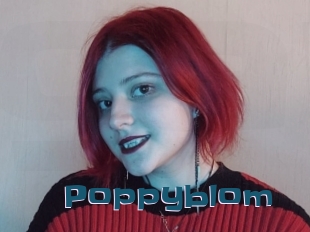 Poppyblom