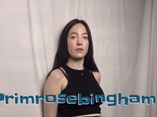 Primrosebingham