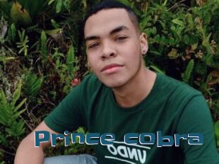 Prince_cobra