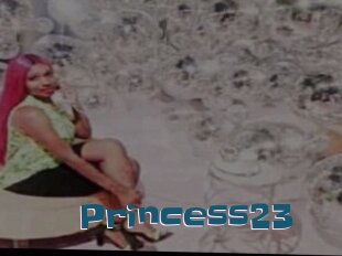 princess23 Gang Bangs
