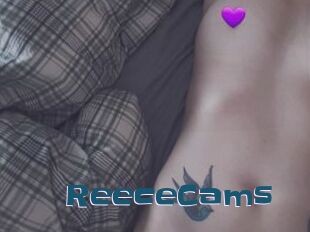 ReeceCams