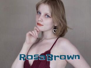RosaBrown