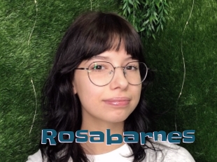 rosabarnes Gang Bangs