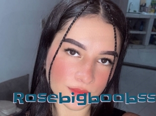 Rosebigboobss