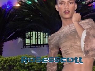 rosesscott Gang Bangs