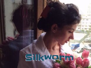 Silkworm